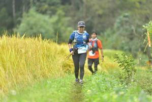 BIB: 
                            <button type="button" onclick="openModal(13434103)" class="btn btn-primary btn-sm float-right btn-popup" data-toggle="modal" data-target=".modal-high-quality">
                        <i class="fas fa-shopping-cart"></i> Add to Cart
                    </button>
                                            <button type="button" onclick="isThisMe(13434103, true)" class="btn btn-success btn-sm float-right btn-popup btn-isme hidden" data-toggle="tooltip" data-placement="bottom" title="นี่คือรูปของคุณใช่ไหม คลิกที่นี่เพื่อเอาเข้าอัลบั้ม">
                        <i class="fas fa-plus"></i> Add to album
                    </button>
                    <button type="button" onclick="isThisMe(13434103, false)" class="btn btn-warning btn-sm float-right btn-popup btn-isnotme hidden">
                        <i class="fas fa-ban"></i> Remove from album
                    </button>